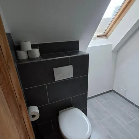 Monteurzimmer Moeblierte Einzimmer Mit Bad Apartment