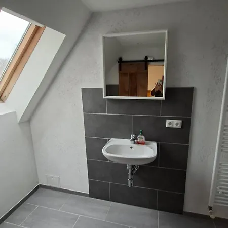 Monteurzimmer Moeblierte Einzimmer Mit Bad Apartment